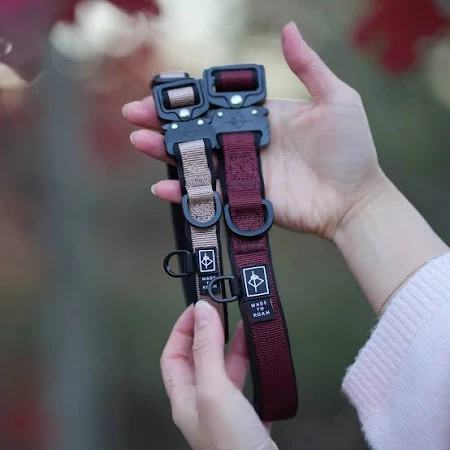 Ultra Lightweight Padded Dog Collar Gentle On Neck Durable Metal Buckle & Nylon