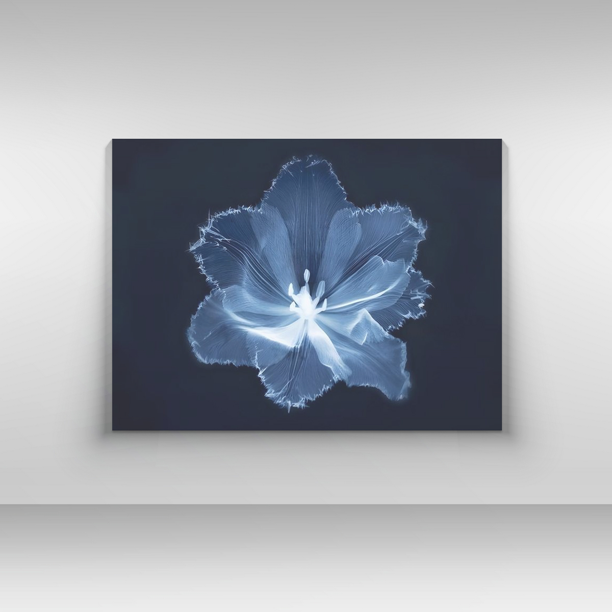 Midnight Blossom by DN